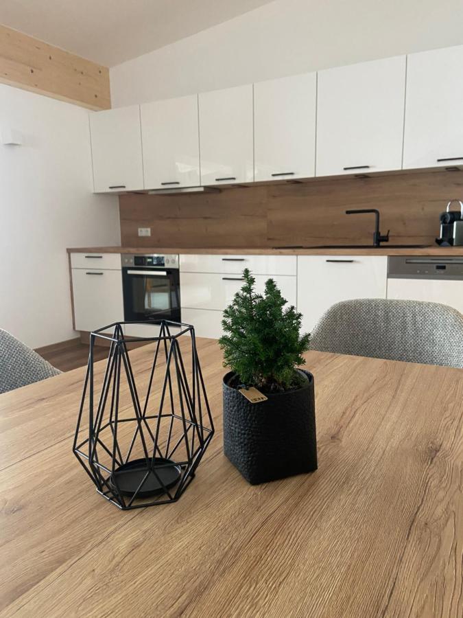 Ski & Bike Appartements アルテンマルクト・イム・ポンガウ エクステリア 写真