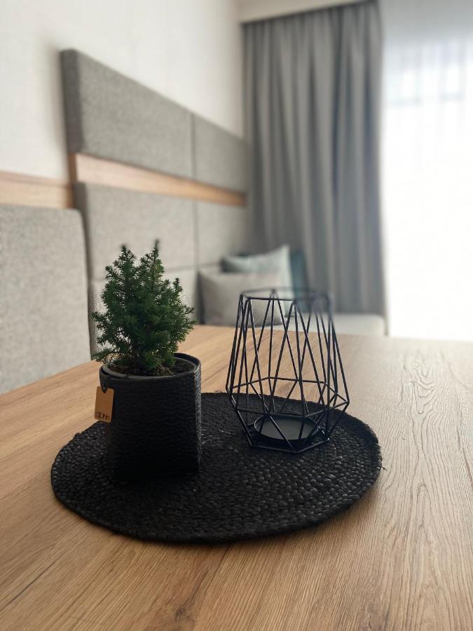 Ski & Bike Appartements アルテンマルクト・イム・ポンガウ エクステリア 写真